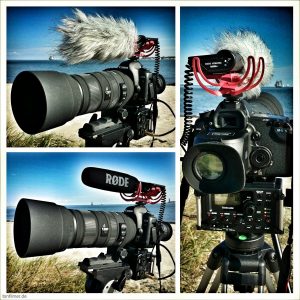 Rode VideoMic auf Canon EOS 5dMkII