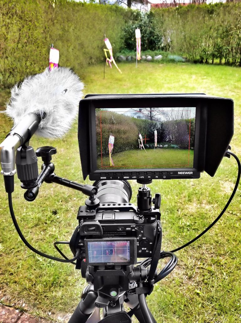 Field Monitor