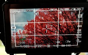 Monitor Camera